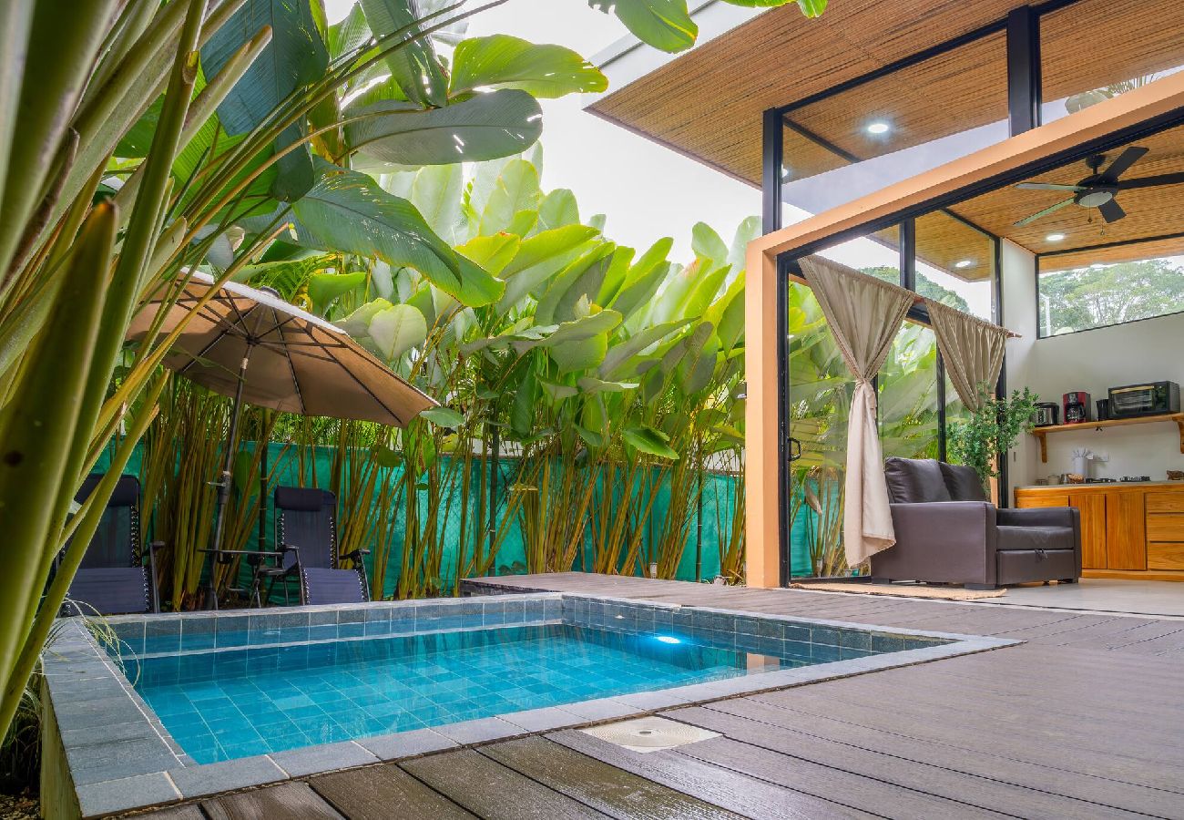 Piscina privada de Villa Amanda con vista al área abierta de la villa en Playa Negra, Puerto Viejo.