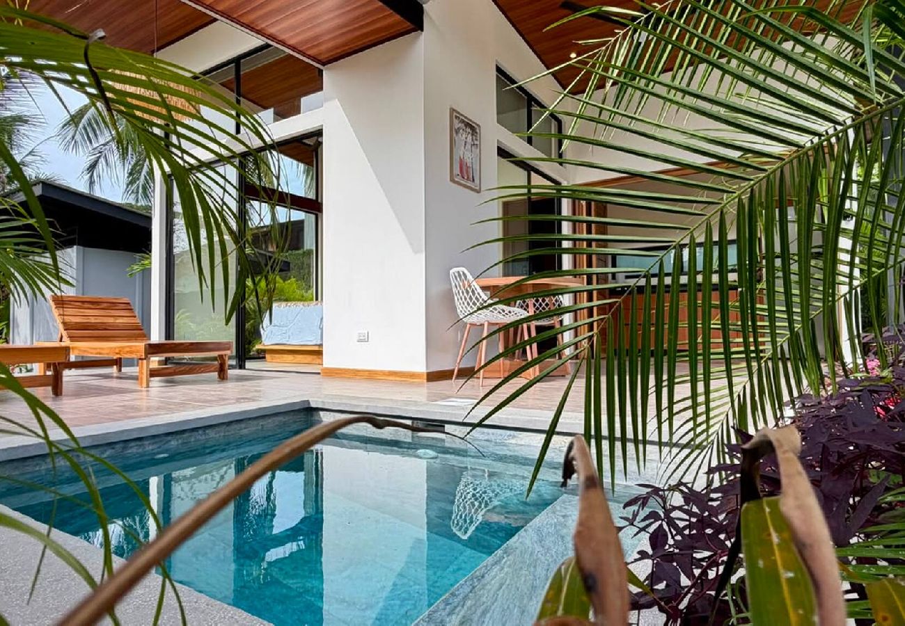 Apartamento en Puerto Viejo - Studio Patacón, íntimo y centríco, piscina priv.