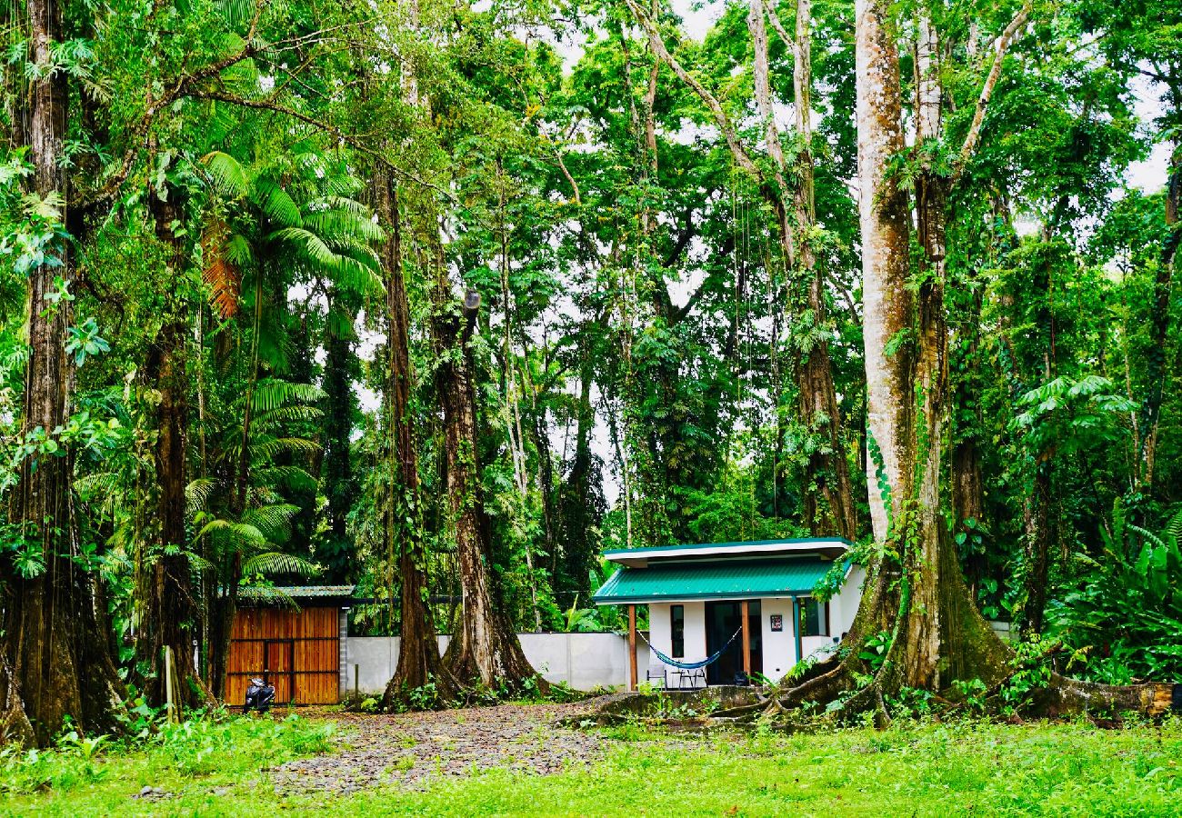 Exterior of Xtabi Studio surrounded by tropical nature in Playa Cocles