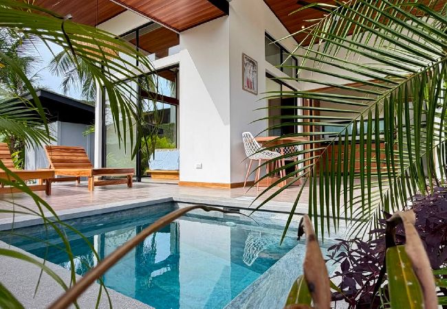 Apartment in Puerto Viejo - Studio Patacón, íntimo y centríco, piscina priv.
